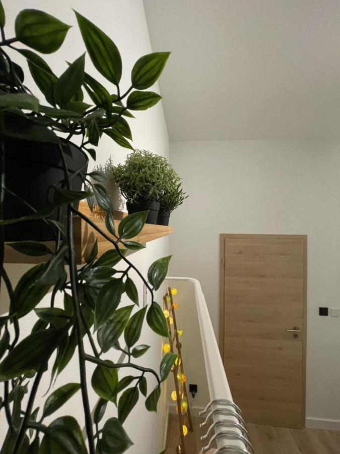 Patenier Hidden Garden 1Bdr With Garden Lieja Exterior foto